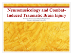 Neuromusicology and Combat-Induced Traumatic Brain Injury