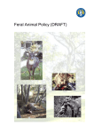 Feral Animal Policy draft