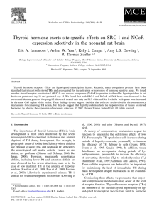 Thyroid hormone exerts site-specific effects on SRC