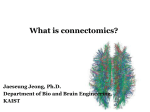 What is connectomics? - Brain Dynamics Laboratory