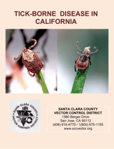 tick-borne disease in california