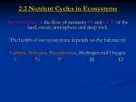 NUTRIENT CYCLES