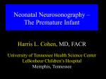 Neonatal Neurosonography – The Premature Infant