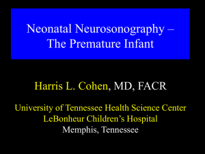 Neonatal Neurosonography – The Premature Infant