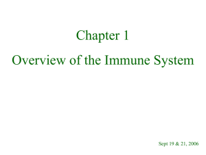 Overview of the Immune System