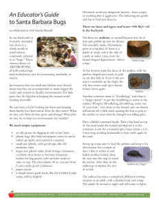 An Educator`s Guide to Santa Barbara Bugs