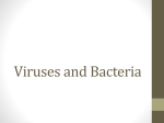 Bacteria and Viruses Powerpoint