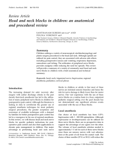 Head and neck blocks in children: an anatomical and procedural