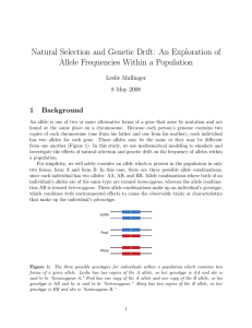 Natural Selection and Genetic Drift: An Exploration of Allele