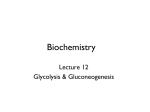 PPTX - Bonham Chemistry