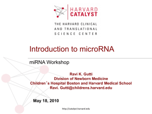MicroRNA Analysis