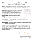 Worksheet: The Selection Process