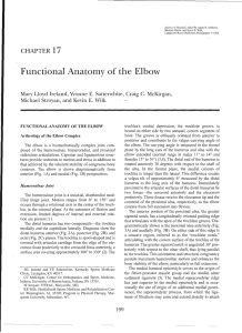 . Functional Anatomy of the Elbow