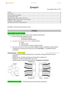 A4a - Viktor`s Notes for the Neurosurgery Resident