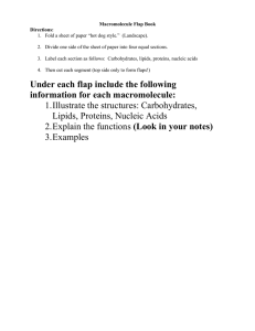 Macromolecule Flapbook