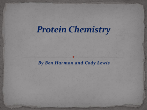 Protein Chemistry Ben and Cody