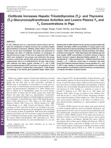 Clofibrate Increases Hepatic Triiodothyronine (T3)