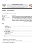 Amblyopia and binocular vision