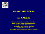 ad hoc networks - BWN-Lab