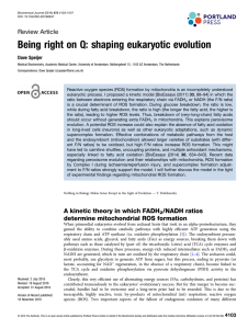 Being right on Q: shaping eukaryotic evolution