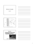 BIOL 432 - Evolution Selection