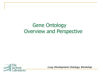 Mouse Genome Informatics - Gene Ontology Consortium