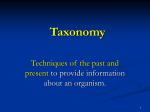 modern taxonomy
