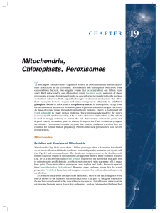 Mitochondria, Chloroplasts, Peroxisomes - Beck-Shop