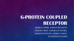 g-protein-coupled-receptor-presentation