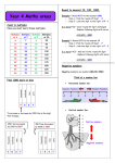 Year 4 maths-support-booklet PDF File