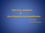 VALVE AREA CALCULATION AND SHUNT DETECTION DR