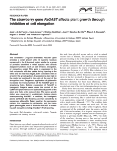 The strawberry gene FaGAST affects plant growth through inhibition
