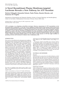 A Novel Recombinant Plasma Membrane