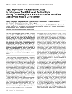 cg12 Expression Is Specifically Linked to Infection of