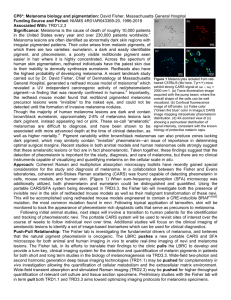 CP6*: Melanoma biology and pigmentation: David Fisher