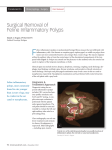 Surgical Removal of Feline Inflammatory Polyps