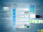 Identification and Localization of Carbon Concentrating