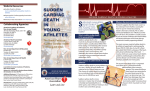 Sudden Cardiac Death in Young Athletes