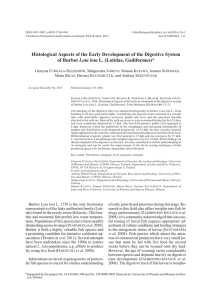 Histological aspects of the early development of the digestive