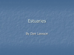 Lawson_Estuaries PP