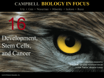 campbell biology in focus