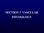 SECTION 3 VASCULAR PHYSIOLOGY Ⅰ. Functional properties of