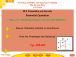 File - Ms. D. Science CGPA