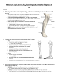 HBS2ALT topic three: leg, learning outcomes for flag test 3