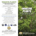 invasive plants for web - Gulf Coast Research Laboratory