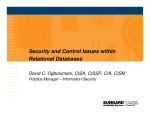 Security and Control Issues within Relational Databases