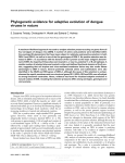 Phylogenetic evidence for adaptive evolution of dengue viruses in