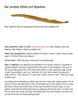 Sea Lamprey Article and Questions