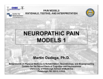 neuropathic pain models 1 - Pittsburgh Center for Pain Research