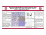 Steroid Hormone Receptor Expression And Survival In Lung Cancer